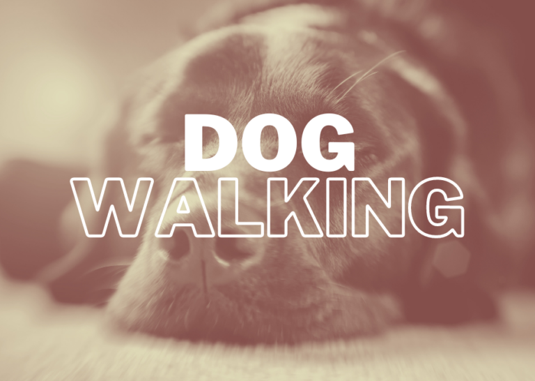 Dog Walking Application